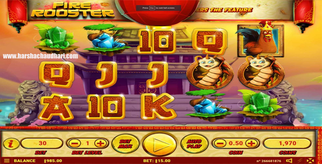 Slot Fire Rooster Ungkap Rahasia Ayam Jantan Api
