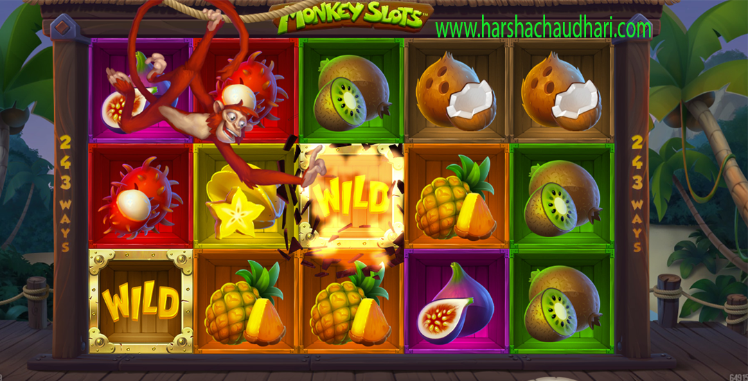 MONKEY Slot Gacor dengan Fitur Bonus Monyet Terbaik