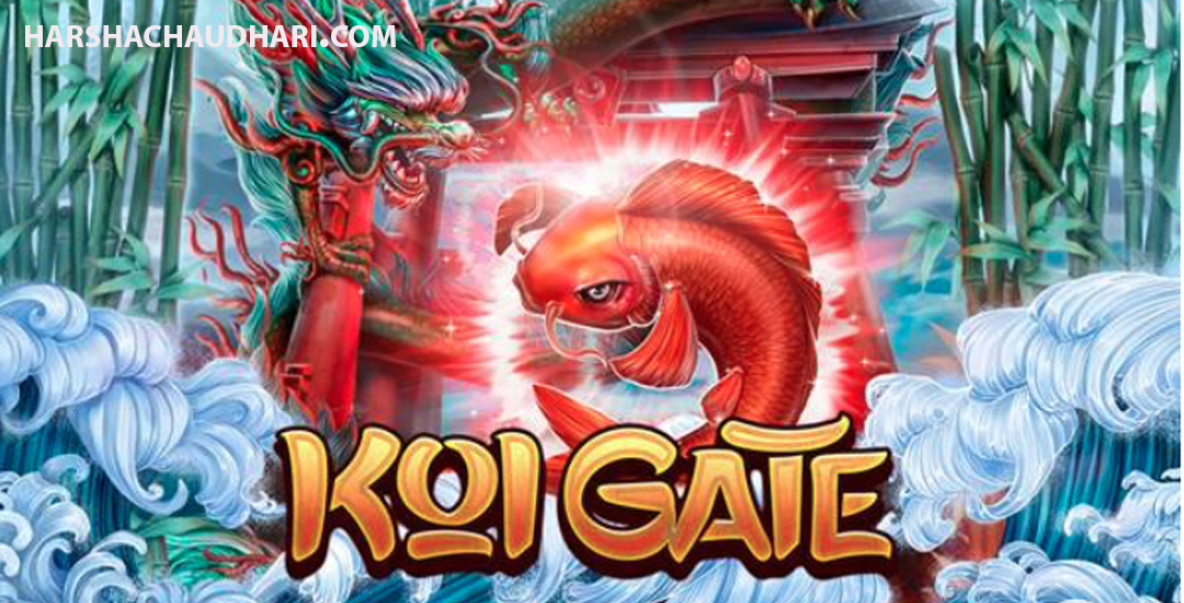 Koi Gate Habanero Lagi Gacor Fenomena dan Daya Tarik