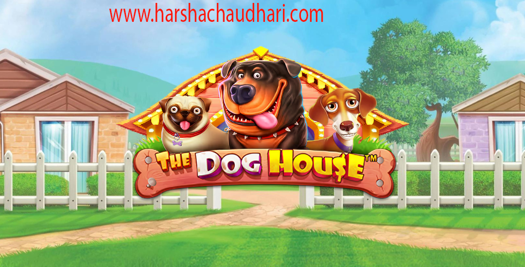 The Dog House