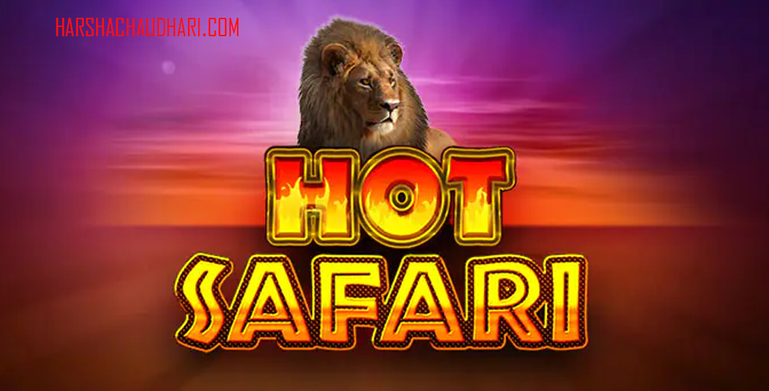 Hot Safari