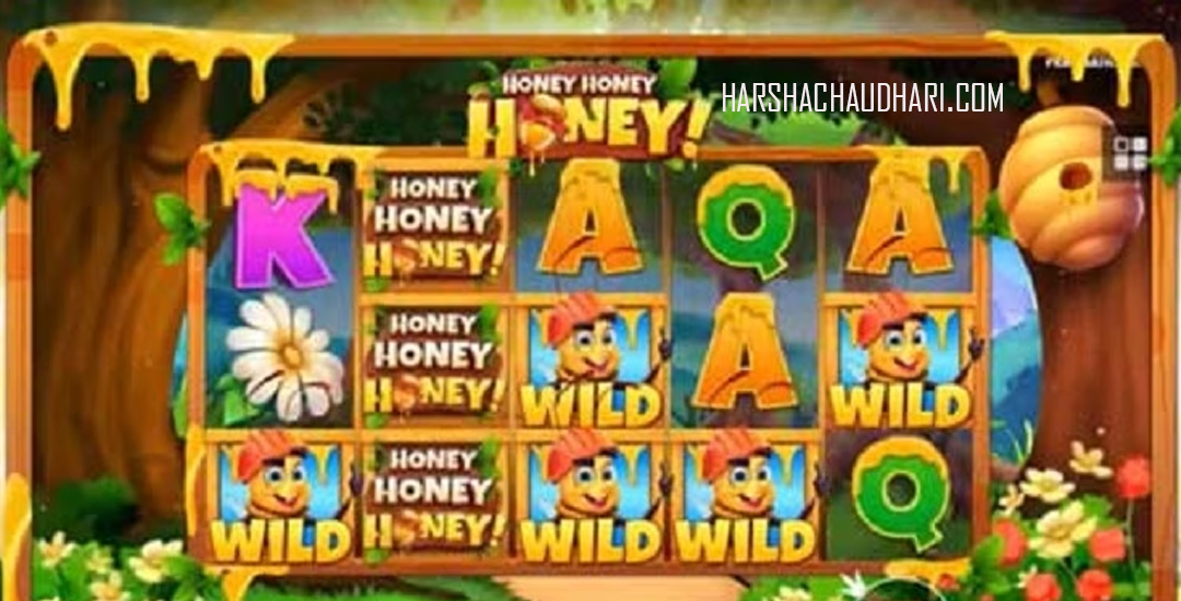 Honey Honey Honey Pemburu Scatter Pemburu Scatter Wajib Tahu